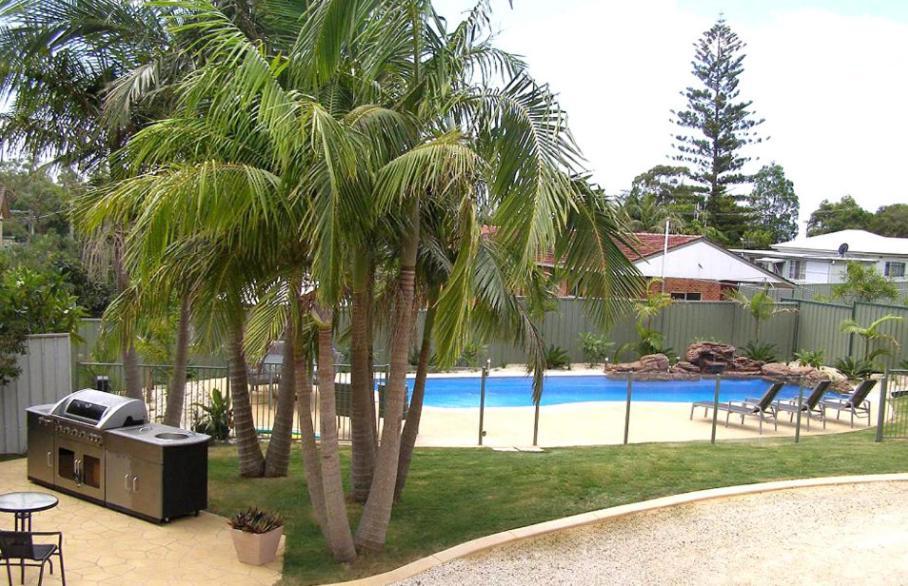 Koala Tree Motel Port Macquarie Bagian luar foto