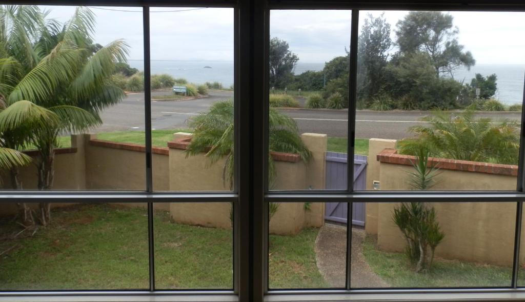Koala Tree Motel Port Macquarie Ruang foto