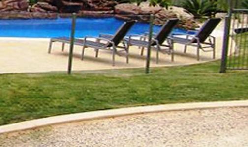 Koala Tree Motel Port Macquarie Bagian luar foto